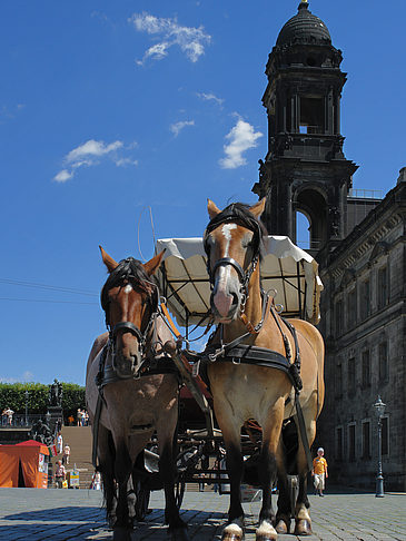 Foto Pferdekutsche - Dresden