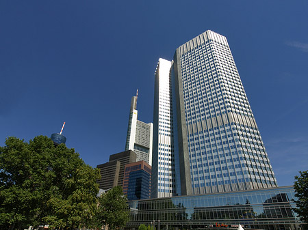 Foto Eurotower mit Häusern - Frankfurt am Main